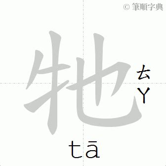 打**意思|「打」意思、注音、部首、筆畫查詢，打造詞